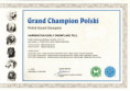 /album/sampionaty1/harrington-polsky-grand-sampion-jpg1/